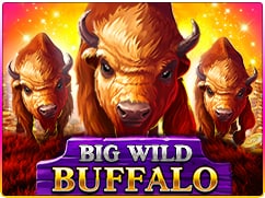 Big Buffalo